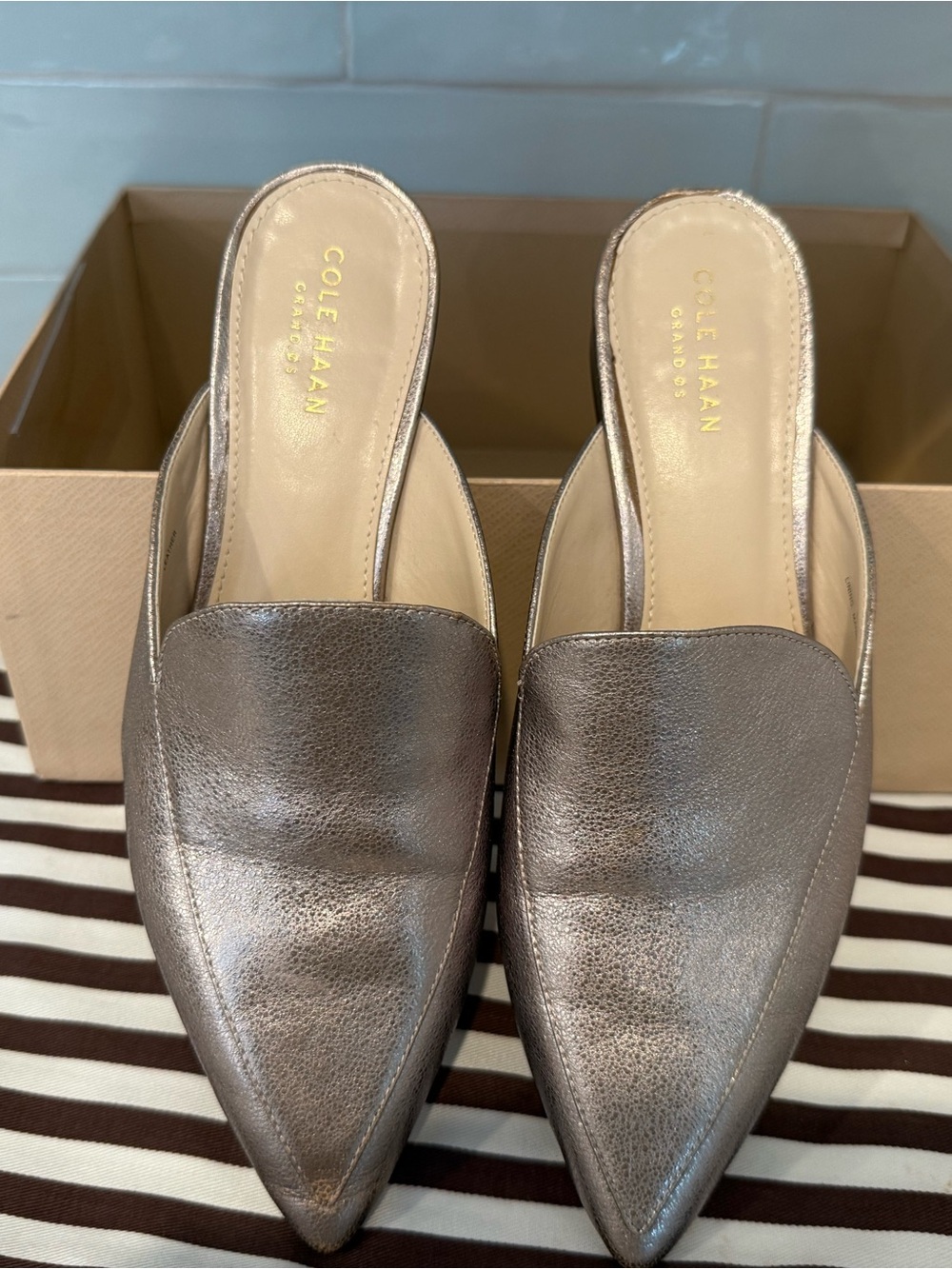 Cole Haan Women's Metallic Pointed Mule